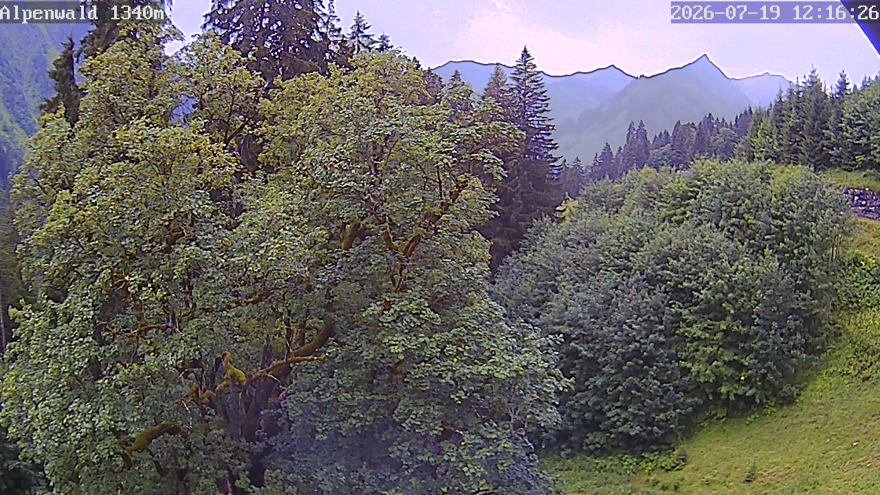 Image: Gasthof Alpenwald